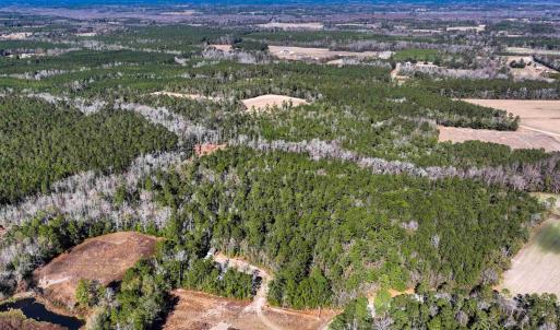 Photo #3 of TBD Sand Hill Bay Rd., Loris, SC 40.5 acres