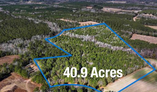 Photo #1 of TBD Sand Hill Bay Rd., Loris, SC 40.5 acres