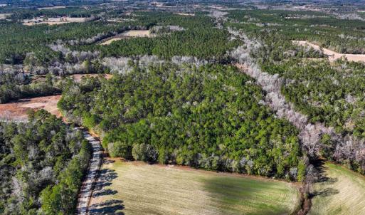Photo #5 of TBD Sand Hill Bay Rd., Loris, SC 40.5 acres
