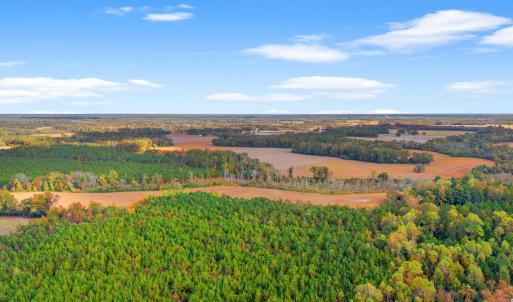 Photo #11 of S-17-22 Arnette Rd., Dillon, SC 287.0 acres