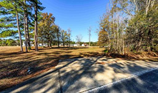 Photo #3 of 206 Mooney Ct., Loris, SC 1.0 acres