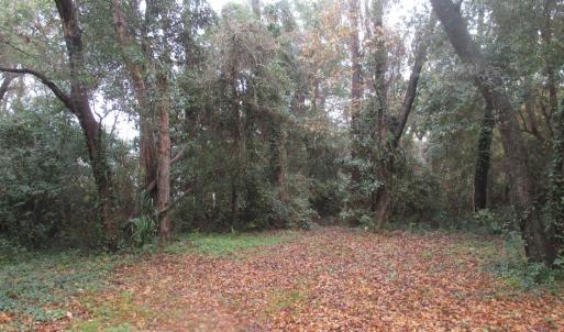Photo #14 of 410 14th Ave. N, Surfside Beach, SC 0.2 acres