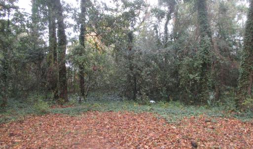 Photo #13 of 410 14th Ave. N, Surfside Beach, SC 0.2 acres