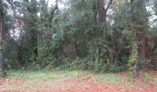 Photo #11 of 410 14th Ave. N, Surfside Beach, SC 0.2 acres