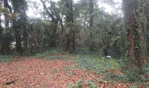 Photo #15 of 410 14th Ave. N, Surfside Beach, SC 0.2 acres