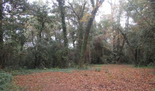 Photo #12 of 410 14th Ave. N, Surfside Beach, SC 0.2 acres