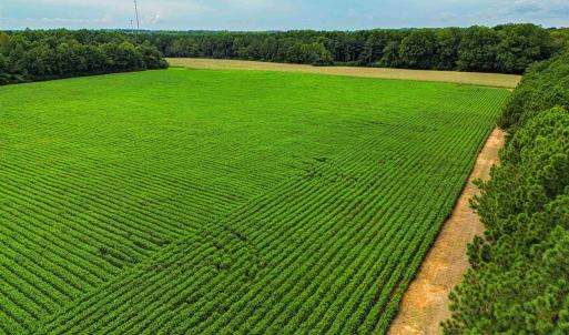 Photo #10 of Nc 581, Bailey, NC 284.9 acres