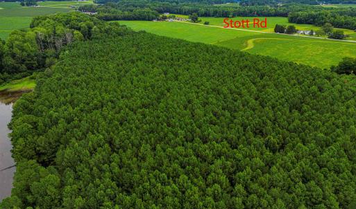 Photo #3 of Nc 581, Bailey, NC 284.9 acres