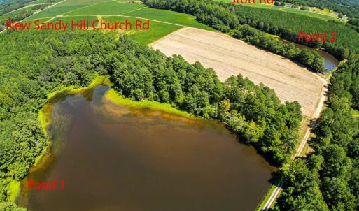 Photo #13 of Nc 581, Bailey, NC 284.9 acres