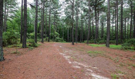 Photo #44 of Nc 581, Bailey, NC 284.9 acres