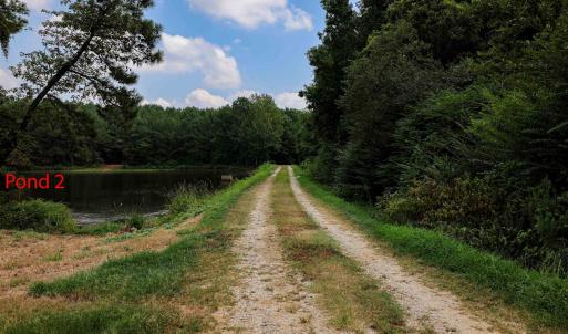 Photo #28 of Nc 581, Bailey, NC 284.9 acres