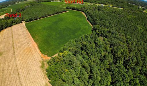 Photo #17 of Nc 581, Bailey, NC 284.9 acres