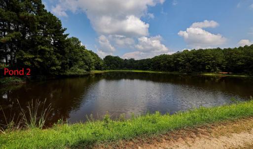 Photo #27 of Nc 581, Bailey, NC 284.9 acres