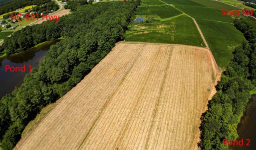 Photo #14 of Nc 581, Bailey, NC 284.9 acres