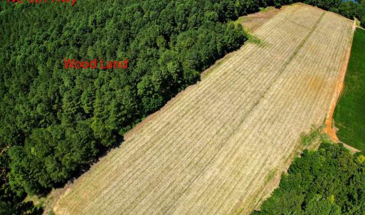 Photo #16 of Nc 581, Bailey, NC 284.9 acres