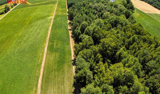 Photo #19 of Nc 581, Bailey, NC 284.9 acres