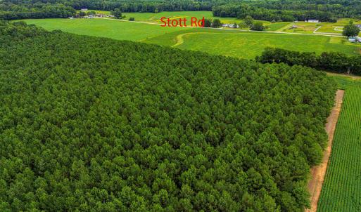 Photo #5 of Nc 581, Bailey, NC 284.9 acres