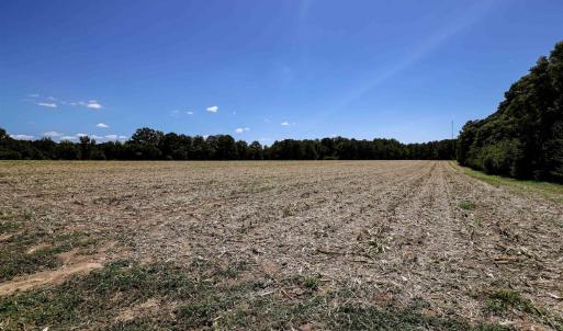 Photo #50 of Nc 581, Bailey, NC 284.9 acres