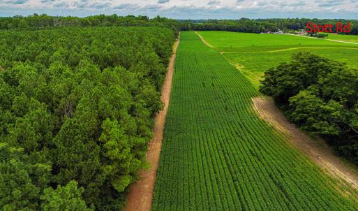 Photo #11 of Nc 581, Bailey, NC 284.9 acres