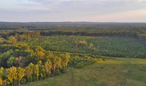 Photo #9 of 3125 Third, Siler City, NC 55.0 acres