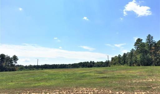 Photo #12 of 3125 Third, Siler City, NC 55.0 acres
