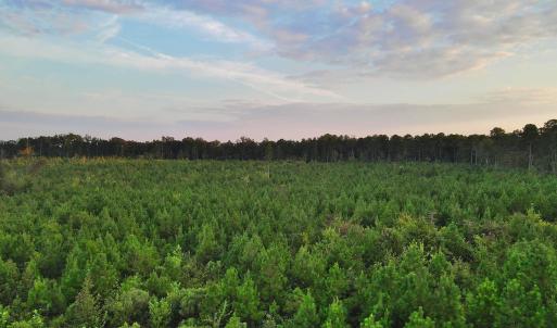Photo #10 of 3125 Third, Siler City, NC 55.0 acres