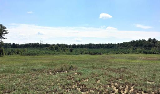 Photo #13 of 3125 Third, Siler City, NC 55.0 acres