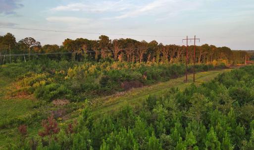 Photo #11 of 3125 Third, Siler City, NC 55.0 acres