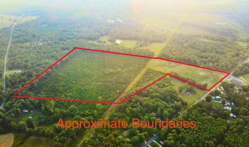 Photo #4 of 3125 Third, Siler City, NC 55.0 acres