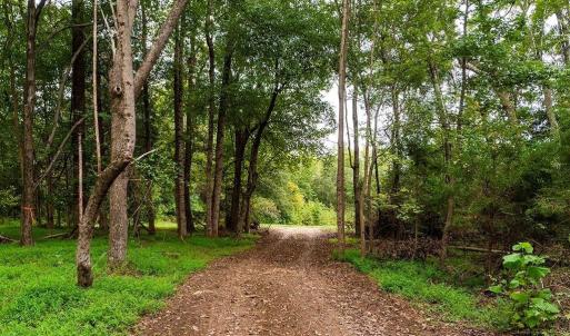 Photo #23 of 1630 Gerringer Mill, Burlington, NC 50.0 acres