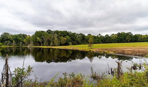 Photo #19 of 1630 Gerringer Mill, Burlington, NC 50.0 acres