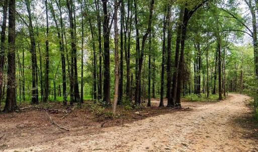 Photo #9 of 1630 Gerringer Mill, Burlington, NC 50.0 acres
