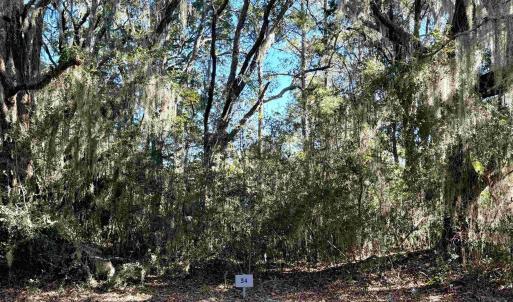 Photo #2 of 34 Dune Oaks Dr., Georgetown, SC 0.5 acres