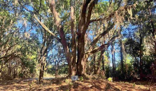 Photo #1 of 34 Dune Oaks Dr., Georgetown, SC 0.5 acres