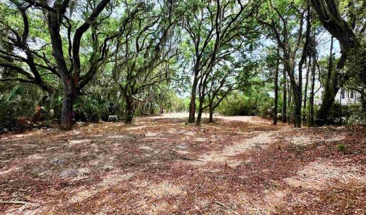 Photo #3 of 34 Dune Oaks Dr., Georgetown, SC 0.5 acres