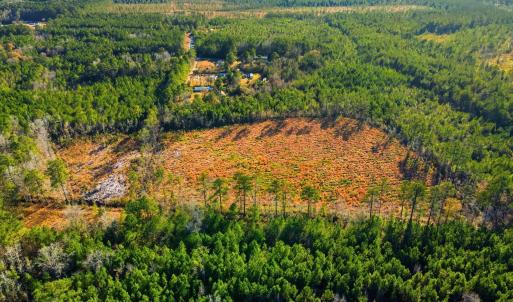 Drone / aerial view of a heavily wooded area