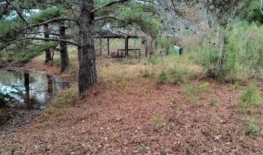 Photo #1 of 2701 Wise Rd., Conway, SC 6.0 acres