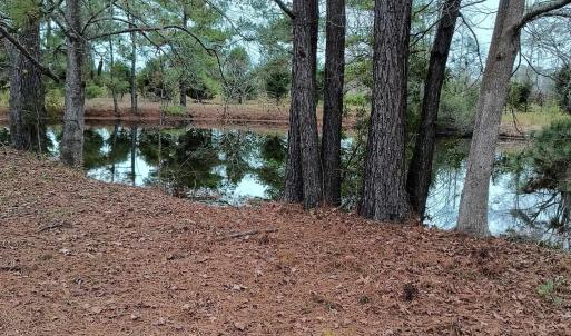 Photo #2 of 2701 Wise Rd., Conway, SC 6.0 acres