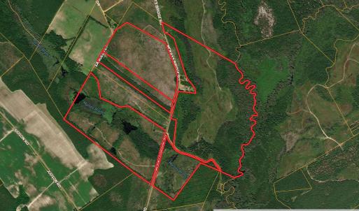 Photo #1 of McKays Bridge Rd., Dillon, SC 370.0 acres