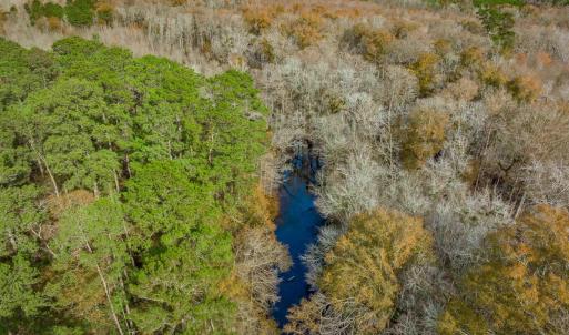 Photo #11 of McKays Bridge Rd., Dillon, SC 370.0 acres