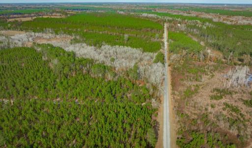 Photo #6 of McKays Bridge Rd., Dillon, SC 370.0 acres