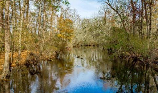Photo #3 of McKays Bridge Rd., Dillon, SC 370.0 acres