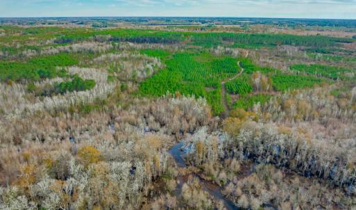 Photo #5 of McKays Bridge Rd., Dillon, SC 370.0 acres