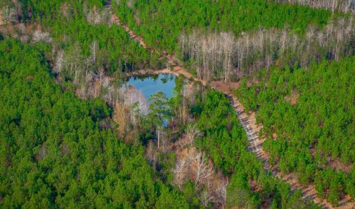 Photo #8 of McKays Bridge Rd., Dillon, SC 370.0 acres