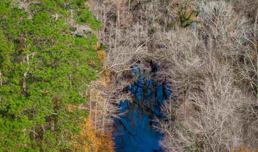 Photo #10 of McKays Bridge Rd., Dillon, SC 370.0 acres
