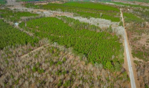 Photo #7 of McKays Bridge Rd., Dillon, SC 370.0 acres