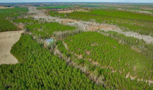 Photo #9 of McKays Bridge Rd., Dillon, SC 370.0 acres