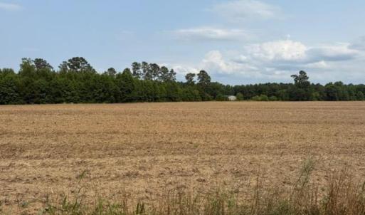 Photo #5 of TBD Mack Rd., Conway, SC 6.4 acres