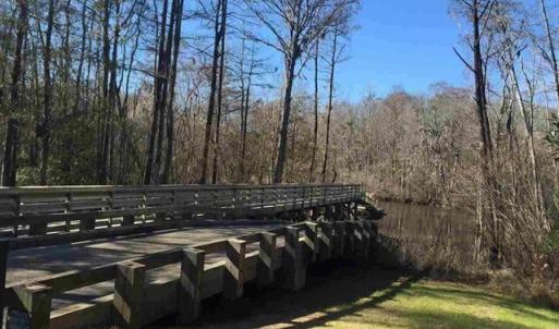 Photo #6 of TBD Woody Point Dr., Murrells Inlet, SC 0.4 acres