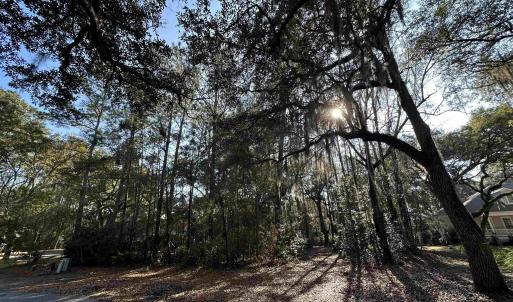 Photo #3 of Lot 173 Sanderling Ave., Georgetown, SC 0.5 acres